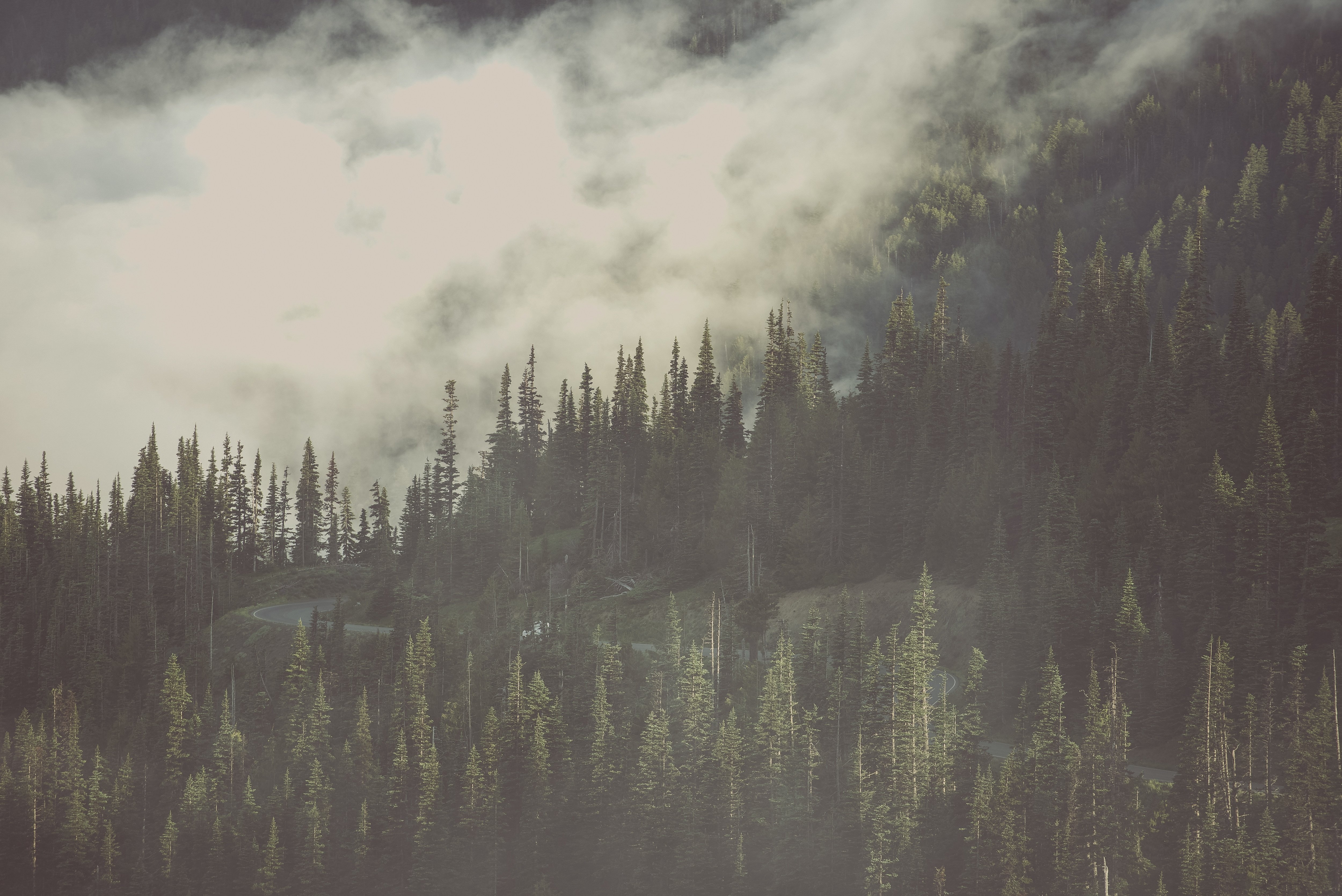 AdobeStock_136245661