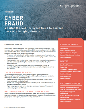 Cyber Fraud DS