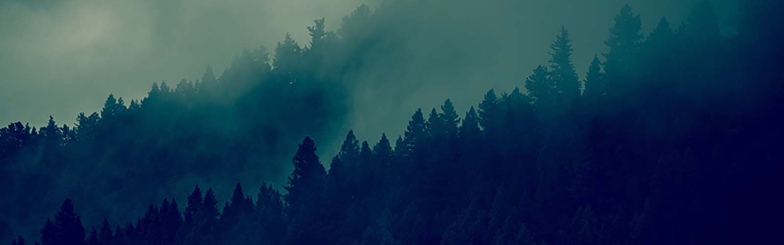 election-cybersecurity