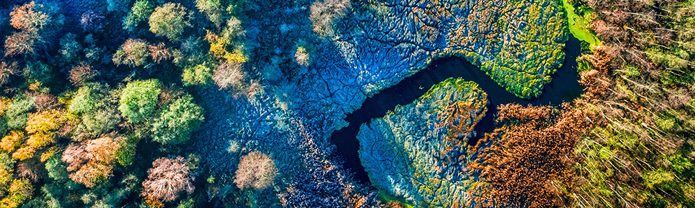 Digital Risk Protection Partner