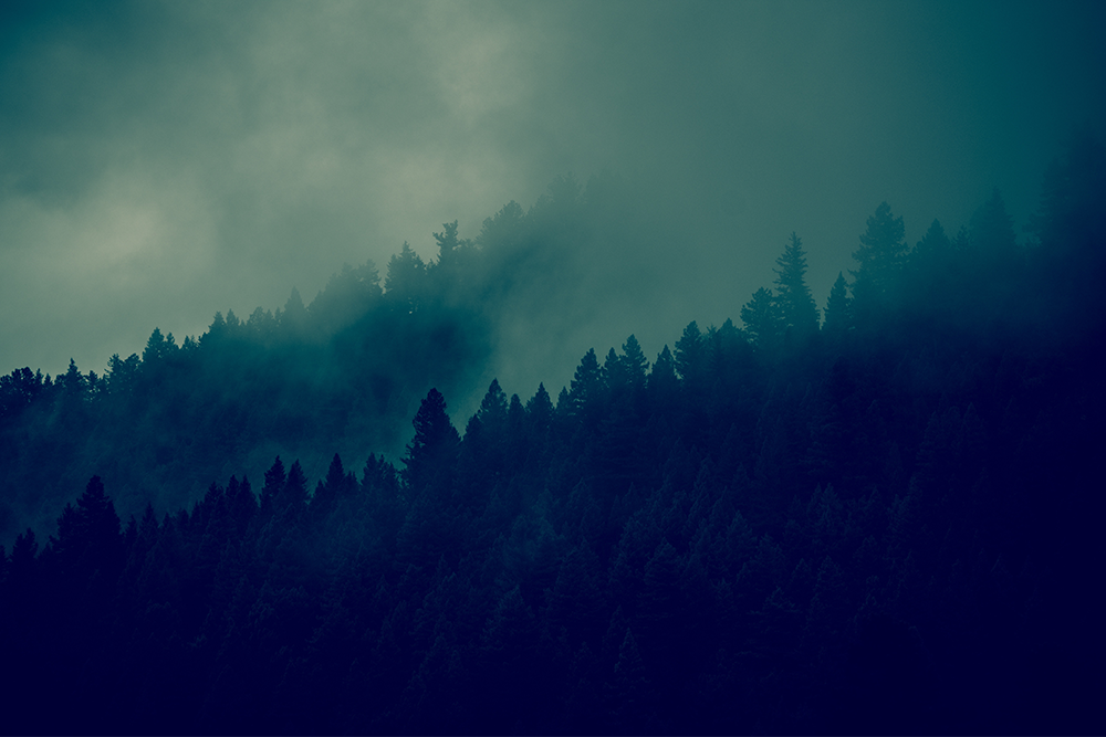 Digital Risk Protection