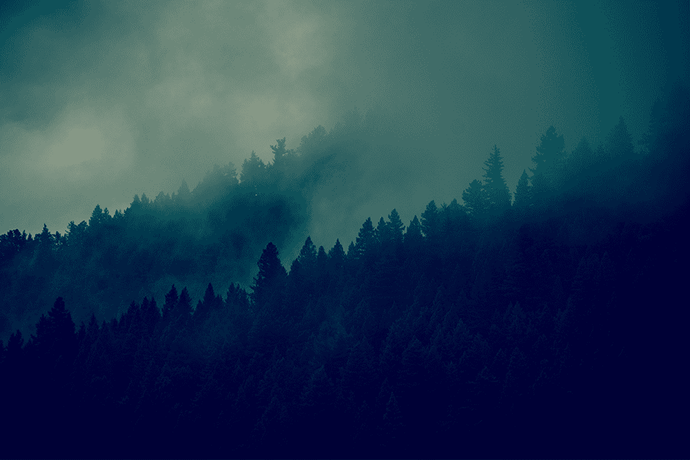 Digital Risk Protection