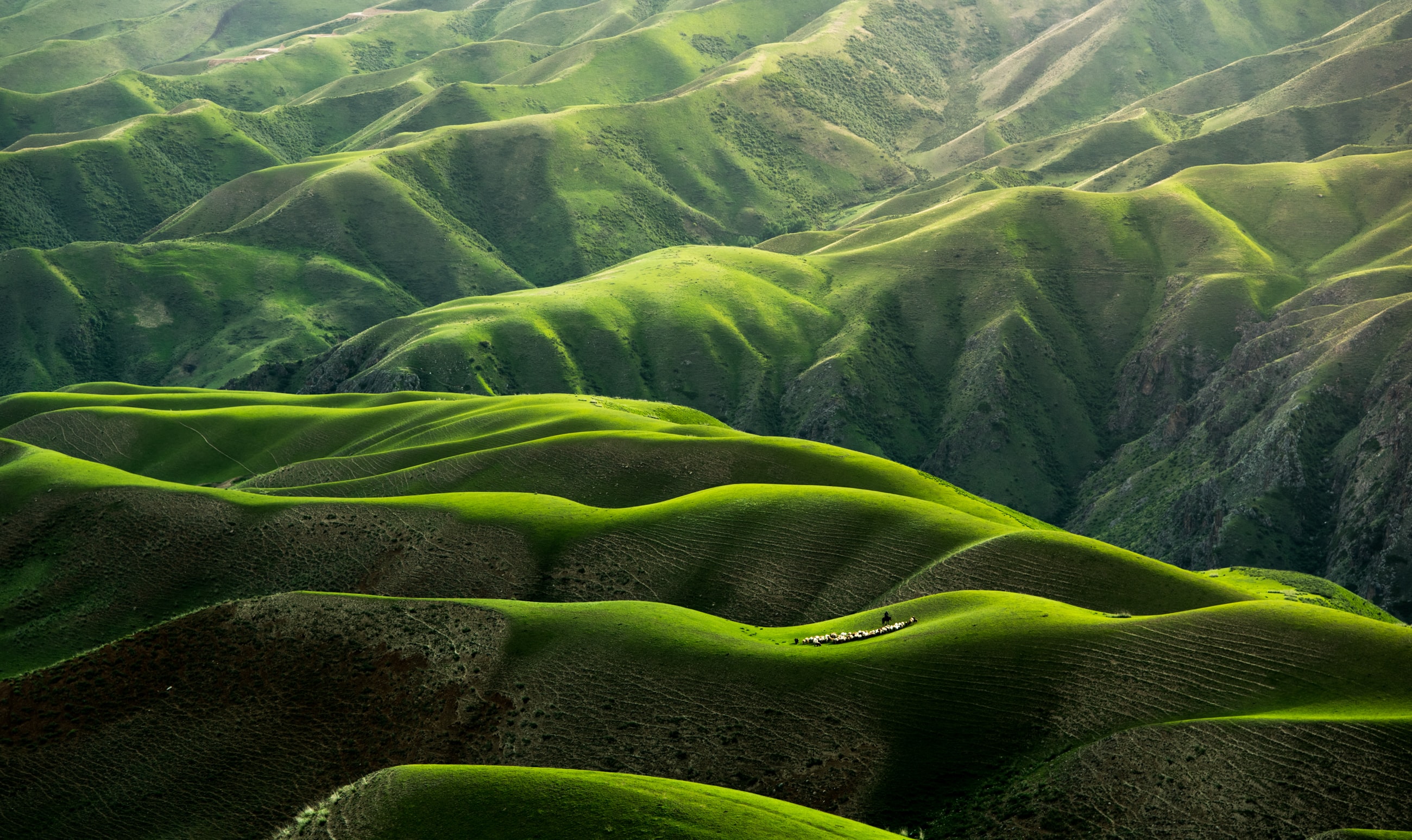 rolling_hills