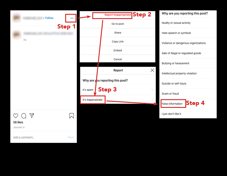 reporting-disinformation-on-instagram